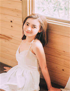 电视剧上门女婿全集