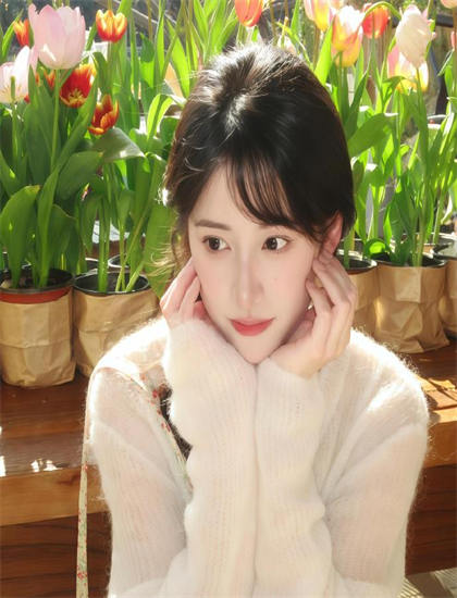 深度影评 行业资深人士深度分析《开始推理吧加更版》奖项的荣誉获得与行业认可