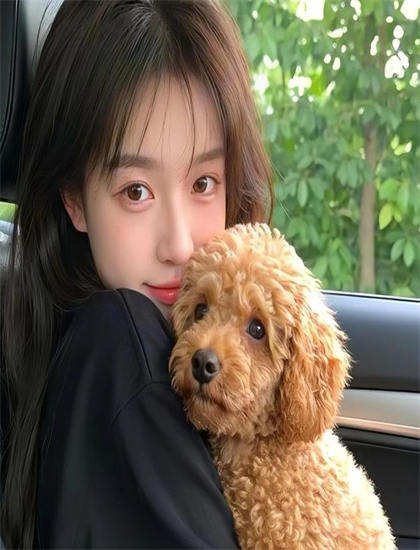 不容错过的《巧媳妇与憨婆家》适合什么人观看？目标观众群体分析